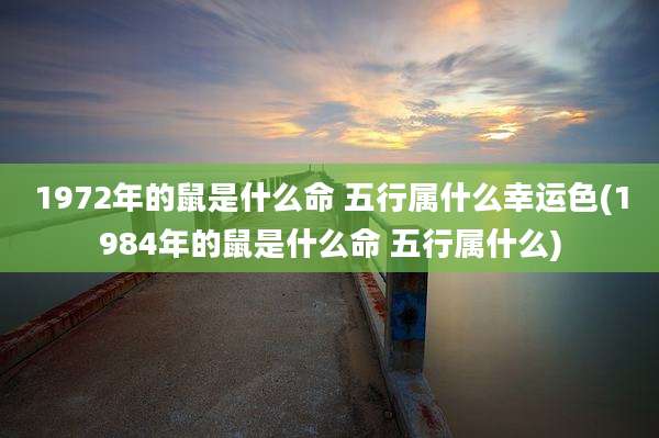 1972年的鼠是什么命 五行属什么幸运色(1984年的鼠是什么命 五行属什么)