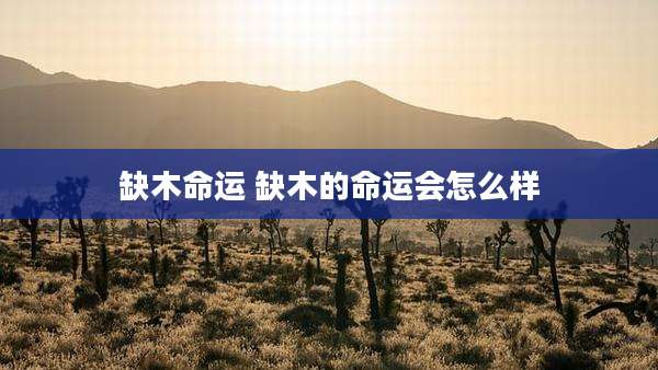 缺木命运 缺木的命运会怎么样