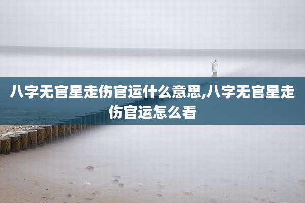 八字无官星走伤官运什么意思,八字无官星走伤官运怎么看