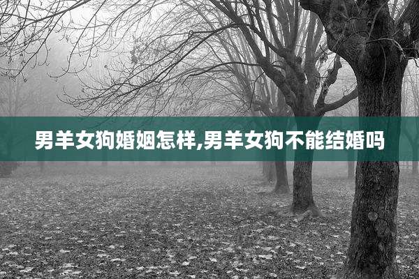 男羊女狗婚姻怎样,男羊女狗不能结婚吗
