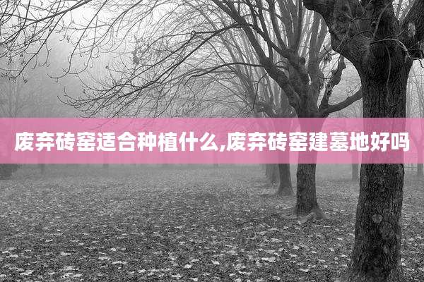 废弃砖窑适合种植什么,废弃砖窑建墓地好吗