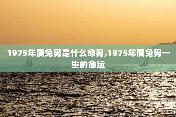 1975年属兔男是什么命男,1975年属兔男一生的命运