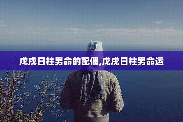 戊戌日柱男命的配偶,戊戌日柱男命运