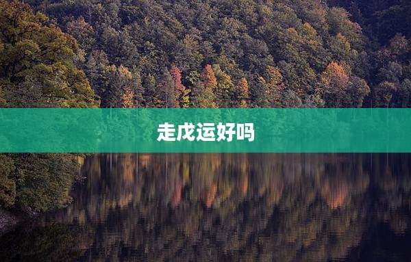 走戊运好吗
