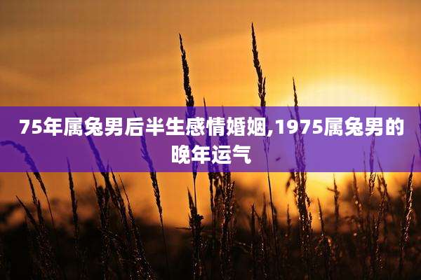 75年属兔男后半生感情婚姻,1975属兔男的晚年运气