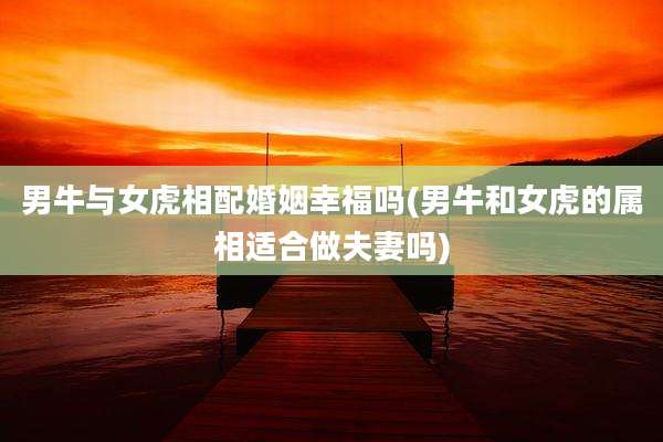 男牛与女虎相配婚姻幸福吗(男牛和女虎的属相适合做夫妻吗)