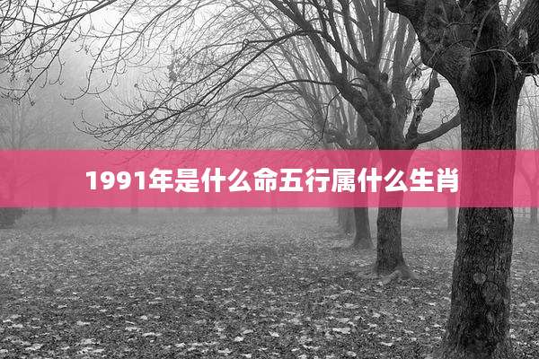 1991年是什么命五行属什么生肖