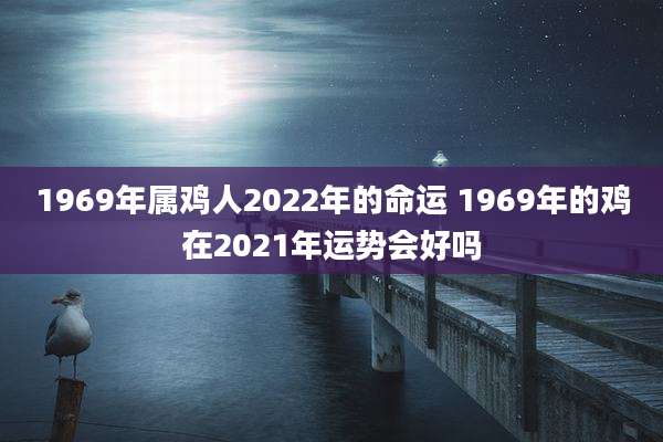 1969年属鸡人2022年的命运 1969年的鸡在2021年运势会好吗