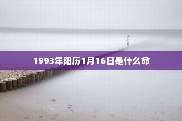 1993年阳历1月16日是什么命