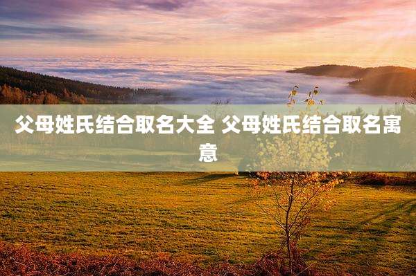 父母姓氏结合取名大全 父母姓氏结合取名寓意