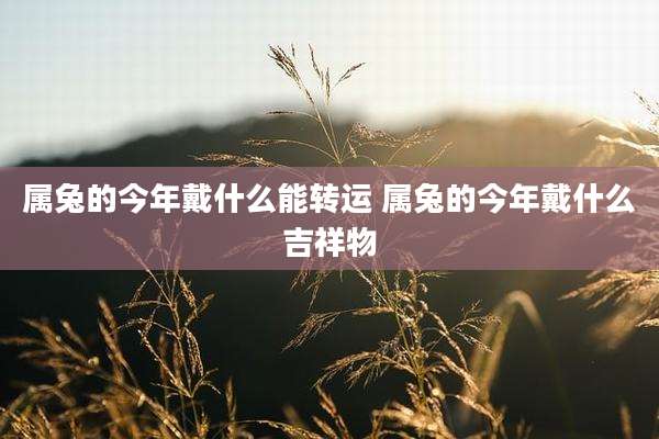 属兔的今年戴什么能转运 属兔的今年戴什么吉祥物