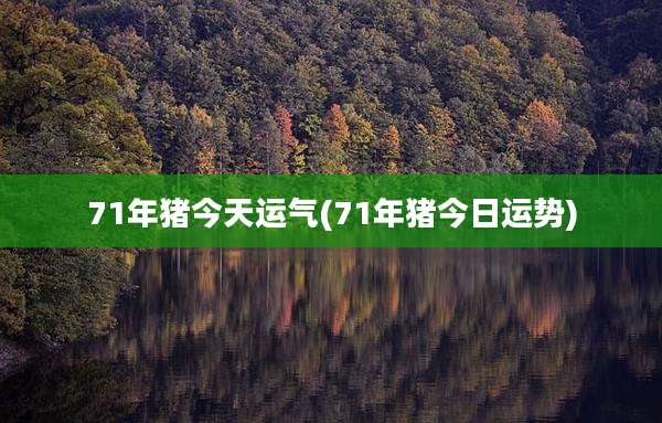 71年猪今天运气(71年猪今日运势)