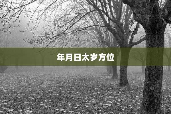 年月日太岁方位