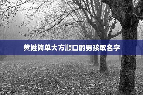 黄姓简单大方顺口的男孩取名字