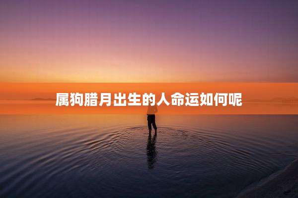 属狗腊月出生的人命运如何呢