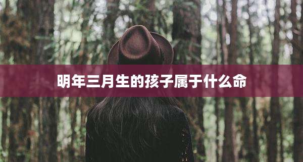 明年三月生的孩子属于什么命