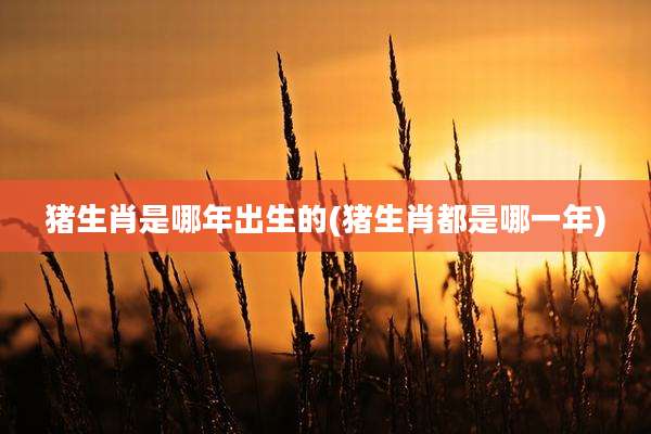 猪生肖是哪年出生的(猪生肖都是哪一年)