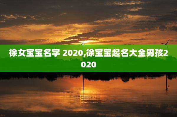 徐女宝宝名字 2020,徐宝宝起名大全男孩2020