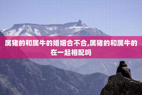 属猪的和属牛的婚姻合不合,属猪的和属牛的在一起相配吗