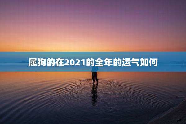 属狗的在2021的全年的运气如何