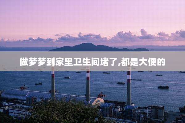做梦梦到家里卫生间堵了,都是大便的