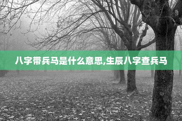 八字带兵马是什么意思,生辰八字查兵马