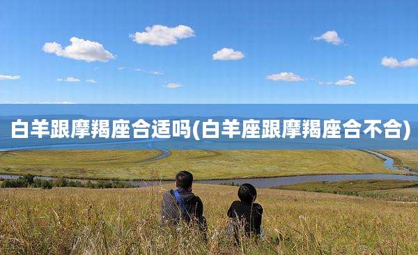 白羊跟摩羯座合适吗(白羊座跟摩羯座合不合)