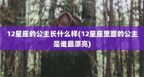 12星座的公主长什么样(12星座里面的公主是谁最漂亮)