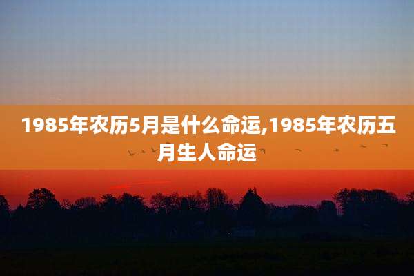 1985年农历5月是什么命运,1985年农历五月生人命运