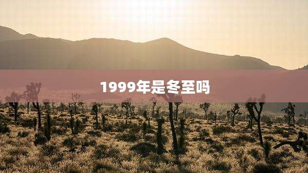 1999年是冬至吗