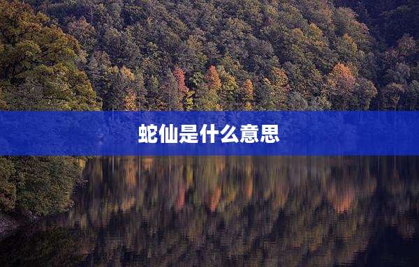蛇仙是什么意思