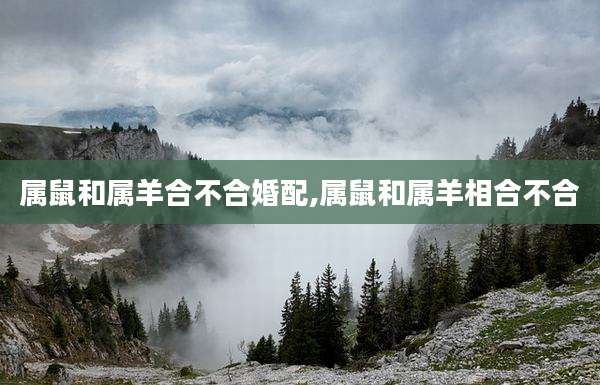 属鼠和属羊合不合婚配,属鼠和属羊相合不合