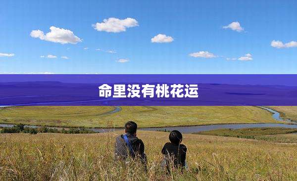 命里没有桃花运