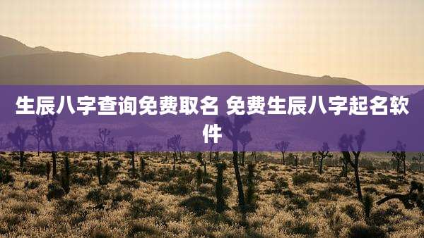 生辰八字查询免费取名 免费生辰八字起名软件
