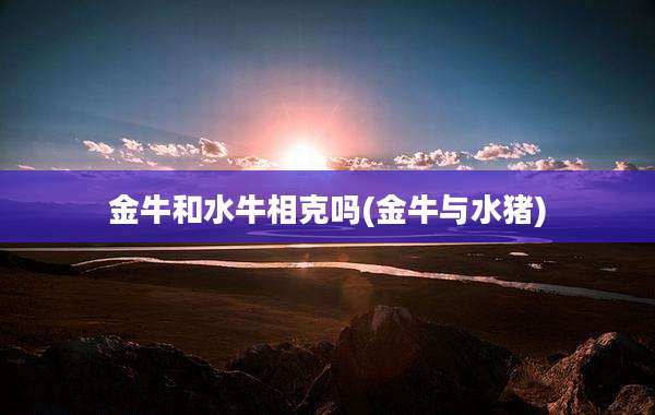 金牛和水牛相克吗(金牛与水猪)