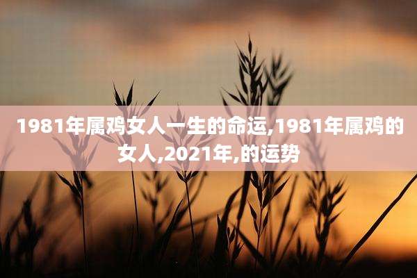 1981年属鸡女人一生的命运,1981年属鸡的女人,2021年,的运势