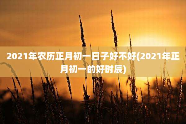 2021年农历正月初一日子好不好(2021年正月初一的好时辰)