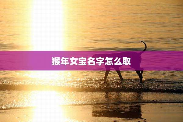猴年女宝名字怎么取