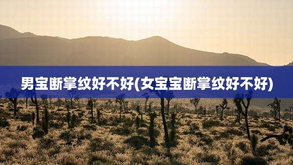 男宝断掌纹好不好(女宝宝断掌纹好不好)