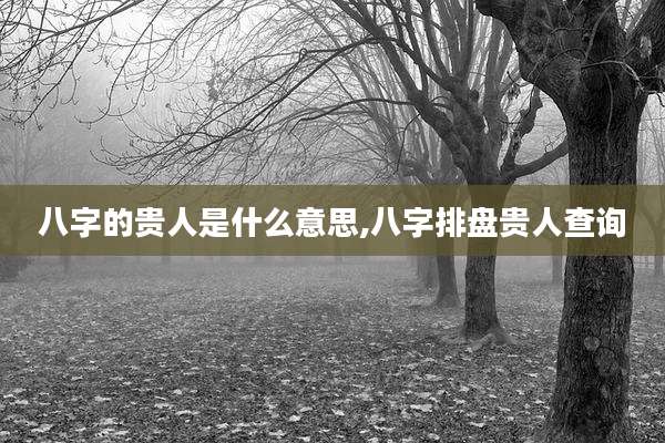 八字的贵人是什么意思,八字排盘贵人查询