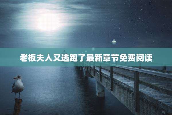 老板夫人又逃跑了最新章节免费阅读