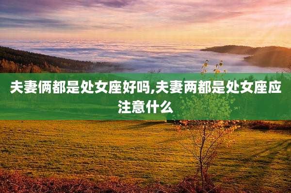 夫妻俩都是处女座好吗,夫妻两都是处女座应注意什么