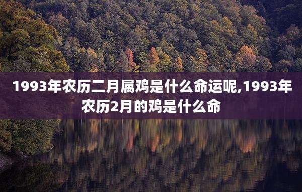 1993年农历二月属鸡是什么命运呢,1993年农历2月的鸡是什么命