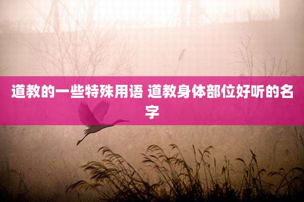道教的一些特殊用语 道教身体部位好听的名字