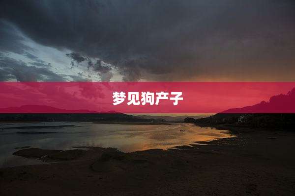 梦见狗产子