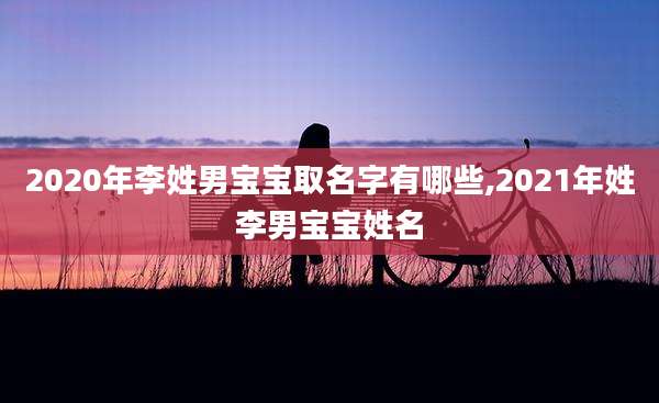 2020年李姓男宝宝取名字有哪些,2021年姓李男宝宝姓名