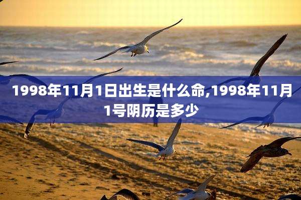 1998年11月1日出生是什么命,1998年11月1号阴历是多少