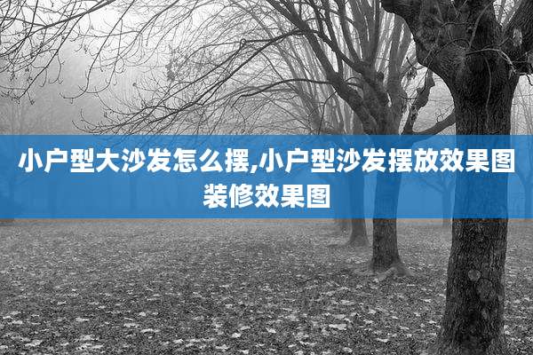 小户型大沙发怎么摆,小户型沙发摆放效果图装修效果图