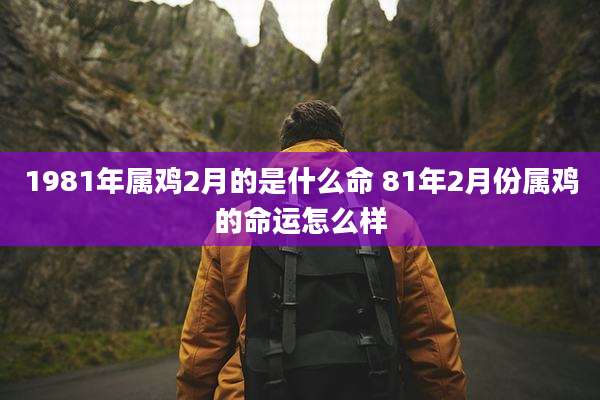 1981年属鸡2月的是什么命 81年2月份属鸡的命运怎么样
