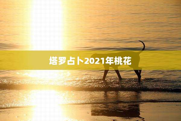 塔罗占卜2021年桃花